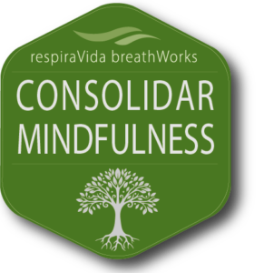 Consolidar Logo 291x300
